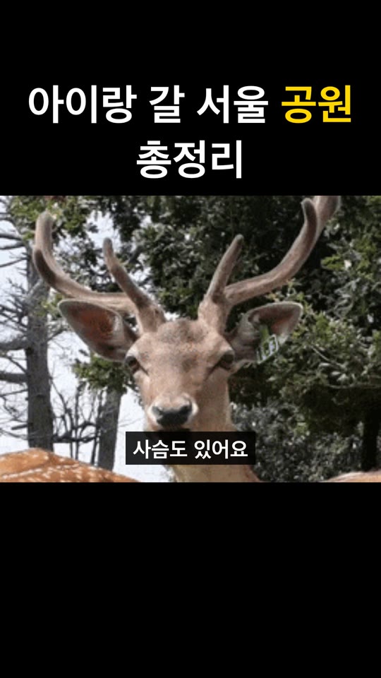 썰 쇼츠